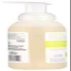 365 by Whole Foods Market, Foaming Hand Soap, Lakeside Leaves, 12 Fl Oz view 2