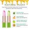 2 Pieces Aloe Vera Lipstick,Long Lasting Moisturizing Lip Balm,Nourishing Lip stick,Lipstick,Lip Balm,Magic Temp Color Change,Waterproof Lip Gloss Matte Makeup view 4