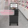 Lemoeyes Rolling Makeup Case with Lighted Mirror, 5 in 1 Train Case on Wheels Large Beauty Salon Luggage Cosmetic Trolley for Cosmetology Nail Tech Hairstylist, Black view 2