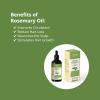 AEKONIK Pure Rosemary Essential Oil, 4 Oz , Moisturizing Hair Serum for Frizzy and Damaged Hair, Face and Skin Care -Organic Hair Growth Oil for Men and Women view 3