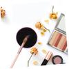 Angoily 4pcs Makeup Brush Cleaning Box Sponge Tool for Quick Removal Portable and Reusable Cosmetic Brush Cleaner for Eyeshadow and Powder Makeup view 3