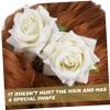 Angoily 2pcs Hair Comb Double Flowers Women Headdress for Weddings Parties and Special Occasions Easy to Wear Hair Accessory view 4