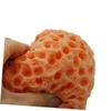 balacoo 3pcs Sponge Body Bath Exfoliator Orange Cleansing Puff for Face Body Hydrophilic Non Scrubber Promotes Skin Smoothness for Daily Use view 4