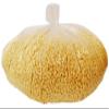 Blue Pearl Wax Triton Gold Hard Bead Wax (Stripless) 10lb Large Bag view 1