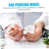 Mobestech 2pcs Practice Ear Piercing Jewelry Ear Model Fake Silicone Display Tool view 3