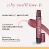Burt's Bees Shimmer Lip Tint Stocking Stuffers Set, Tinted Lip Balm Stick, Moisturizing for All Day & Lip Tint Balm, Red Dahlia, 2-Pack, Hydrating Shea Butter for a Natural Looking Buildable view 4