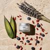 COMUNE Revitalize Overnight Mask - Nourishing & Revitalizing Night Cream | Deep Hydration, Radiant Skin | Restoration & Anti-Aging | All Skin Types, 50 mL / 1.7 fl.oz view 2