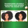 Palmer's Amino Bonding Complex Hair Oil, Healing Treatment with Coconut Oil & Vitamin E, Heat Protectant, Anti Frizz, Adds Shine, Strengthens & Protects Hair Growth, All Hair Types, 4 fl oz view 3