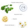 Generic Under Eye Patches 25 Pairs, Golden Eye Mask with Amino Acid & Collagen for Puffy Eyes, Dark Circles,Bags and Wrinkles with Collagen view 3
