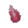 J. Amani All Natural Lip Scrub - Made with Organic Coconut Oil! 2oz (Coconut Hibiscus) view 2