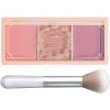 3 Color Matte Pink Blush Palette with Brush, Long Lasting Cheek Makeup, Light and Smooth Blush Powder for Face Beauty view 1