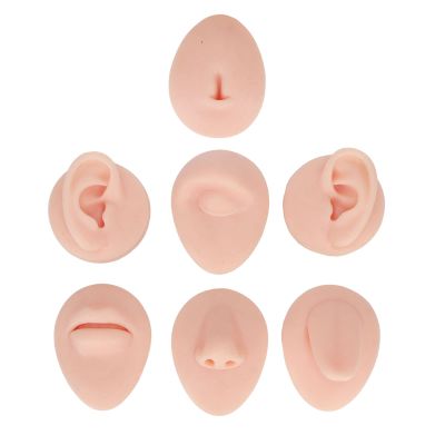 Body Piercing Practice Model, Simulation Silicone Body Part Model Piercing Practice Kit Ear Eye Nose Mouth Tongue Belly Model Body Part Display Set for Novice Piercer Show Piercing Jewelry