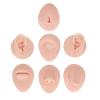 Body Piercing Practice Model, Simulation Silicone Body Part Model Piercing Practice Kit Ear Eye Nose Mouth Tongue Belly Model Body Part Display Set for Novice Piercer Show Piercing Jewelry view 1