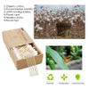 Cotton Buds cotton swabs for ears wooden sticks cotton swabs for makeup removal travel size eco-friendly organic cotton swabs biodegradable cotton swabs for face round tip view 3