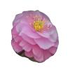 almond blossom Print Shower Cap, Bath Shower Caps for Women Long Hair, Double Layer Waterproof Bathing Shower Hat view 2