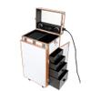COYEUX Portable Rolling Makeup Train Case, Rolling Manicure Table, with 4 Drawers Mirror Speaker Nail Tables, for Lockable Salon Travel view 3