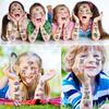 12 Sheet Koala Temporary Tattoos Stickers, Koala Birthday Party Supplies Decorations Cute Small Animal Fake Tattoos Stickers Koala Party Favors Goodie Bag Fillers School Classroom Reward Gifts view 2