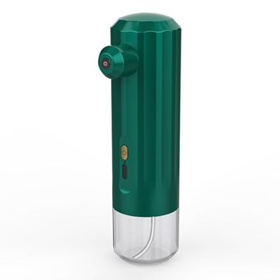 Kenntsh 1Set Mini Nano Mist Sprayer Steamer Humidifier Oxygen Injection Instrument Skin Care Tools Green