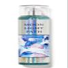 White Barn - Bath and Body Works - Gift Set 2 Piece Bundle - with Gift Bag HELLO GORGEOUS (Moonlight Path) view 2