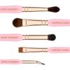 Bdellium Tools Pink Golden Triangle Eyes Makeup Brush Set - Versatile Eye Essential Brush Kit with Soft Synthetic Bristles and Rose Gold Brass Ferrule for a Range of Eye Styles (Pink, 5 pcs) view 3