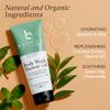 Beauty by Earth Peppermint Tea Tree Oil Shower Gel Body Wash - Made in USA with Organic & Natural Ingredients, Mens Body Soap Liquid, Moisturizing Cleansing Gel for Men & Women, Non Toxic Body Wash view 2