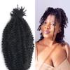 RHEANNA Human Afro Kinky Curly Hair For Twist Braids No Weft Double Drawn Twist Hair Extensions Braiding Afro Kinky Bulk Human Hair For Twist 100g/bundle 22" 22" view 2