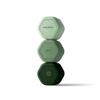 Cadence Travel Containers - Body Care Capsule Set - Magnetic Containers with Lids,Carry On Travel Essentials for Women/Men - 3 Flex Mediums (1.32oz) - Body Wash, Lotion & Sun Icon Labels - Evergreen view 1