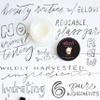 Ellovi All-Natural Body Butter - Creamsicle - Pure Enough to Eat - Made With Just 6 Vegan Ingredients - Ultra-Rich 100% Plant-Based Hydrating Moisturizer For Naturally Healthy Skin (3.4 fl. oz/100ml) view 3