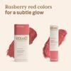 ATTITUDE Happy Berry Makeup Duo Box Set, EWG Verified, Titanium Dioxide-Free, Plastic-free, Plant and Mineral-Based, Vegan Beauty Products, Set of 2 Makeup Sticks view 3
