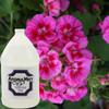 AromaMist Geranium, Geranium Aroma Bath Oil, 1-Gallon Bottle, Steam Shower Aroma Oil view 2