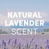 Clean Revolution Liquid Gel Hand Soap, Silky Rich Liquid, Quick Lather, Fast Rinsing, Contains Real Essential Oils (Natural Lavender) 128 Fl Oz view 3