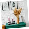Angoily Compact Makeup Tray 1pc Desktop Cosmetics Box Makeup Organizers for Women view 4