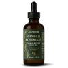 Annoor Ginger Rosemary Hair Oil 2 Fl Oz | Nourish, Strengthen, Shine, and Revitalize for Healthy Hair Growth and Scalp Renewal view 1