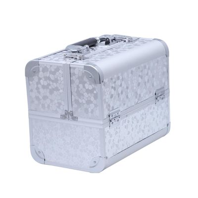DOITOOL Travel Makeup Storage Box Aluminum Alloy Make up Organizer Professional Cosmetic Organizer Jewelry Box Large Storage Space for Women, Silver, medium