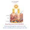 gymsegb Habaek Sun Protection Body Moisturizer SPF50 Broad Spectrum view 3