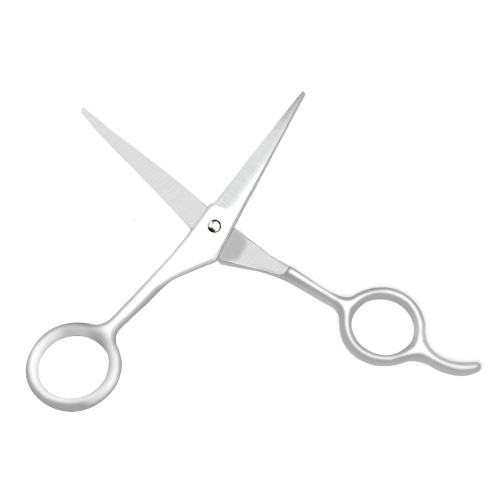 5.5 Inches Hair Styling Scissors Straight Cut Grade for Barbers Home Pet Grooming