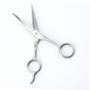 5.5 Inches Hair Styling Scissors Straight Cut Grade for Barbers Home Pet Grooming view 2