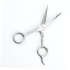 5.5 Inches Hair Styling Scissors Straight Cut Grade for Barbers Home Pet Grooming view 3