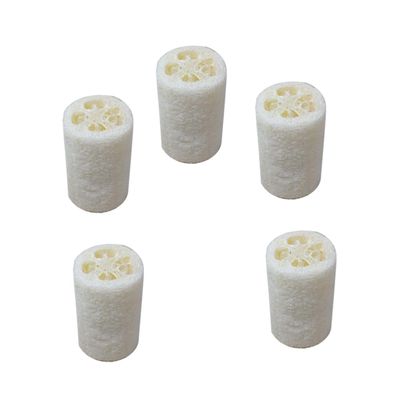 minkissy 5pcs Natural Loofah Sponge for Bathing and Pot Washing Exfoliating Body Scrubber for Deep Cleansing White Loofah Bath Shower Accessories
