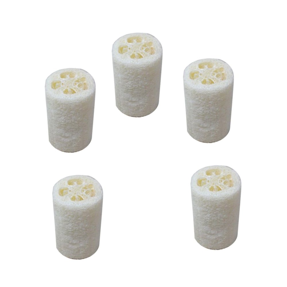 minkissy 5pcs Natural Loofah Sponge for Bathing and Pot Washing Exfoliating Body Scrubber for Deep Cleansing White Loofah Bath Shower Accessories