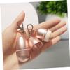 Beatifufu Volcanic Stone Oil Absorbing Face Roller Reusable Facial Skin for Oily for Home and Go view 3