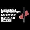 Deck of Scarlet - Wear Me Out Longwear Lipstick, Matte Finish with Moisturizing Vitamin E and Jojoba Seed Oil - Feisty view 2
