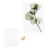 Ipetboom 6pcs Embossed Plate Drying Press Board Absorbent Paper for Craft Flowers view 3