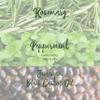 Hair Gro Rosemary Mint Shampoo & Conditioner Set - Jamaican Black Castor Oil Blend. Gently Cleanse, Moisturize, Refresh Scalp & Repair Damaged Hair. Organic Formula Nourish, Soften, Strengthen Hair view 4