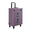 CHALIGHT Professional Rolling Makeup Case Train Case Portable Cosmetic Organizer Trolley Lockable Rolling Make-ups Case Storage Cart Makeup Train Case Cosmetology Case On Wheels (Purple|3 trays) view 1