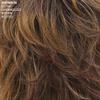 Paula Young Malibu Waves Lace Front Wig by STYLE by Jaclyn Smith - Bob Wig with Flattering Fringe and Beachy Waves/Blended and Rooted Shades view 2