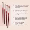 BK BEAUTY - CORE LINE EXTENSION EYE SET (4PC) - Professional Eyeshadow Brush Set for Precise Makeup Placement & Blending | Premium Eye Makeup Brushes for Flawless Application view 3