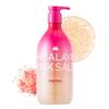 HIMALAYA PINKSALT Daily Scrub & Body Wash 21.1oz view 1
