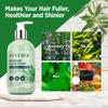 Svvimer Rosemary Hair Thickening Conditioner: Thickening Moisturizing Product with Biotin for Women Men - for Damaged Dry Thinning Hair 11.8 fl.oz view 4