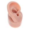 BIUDECO Silicone Human Ear Model for Helix Piercing Practice Piercing Stuff Jewelry Display Ear Cleaning Exercise view 1